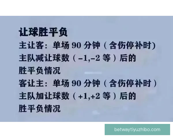 世界杯买球官网全方位解析与推荐助力球迷轻松下注体验
